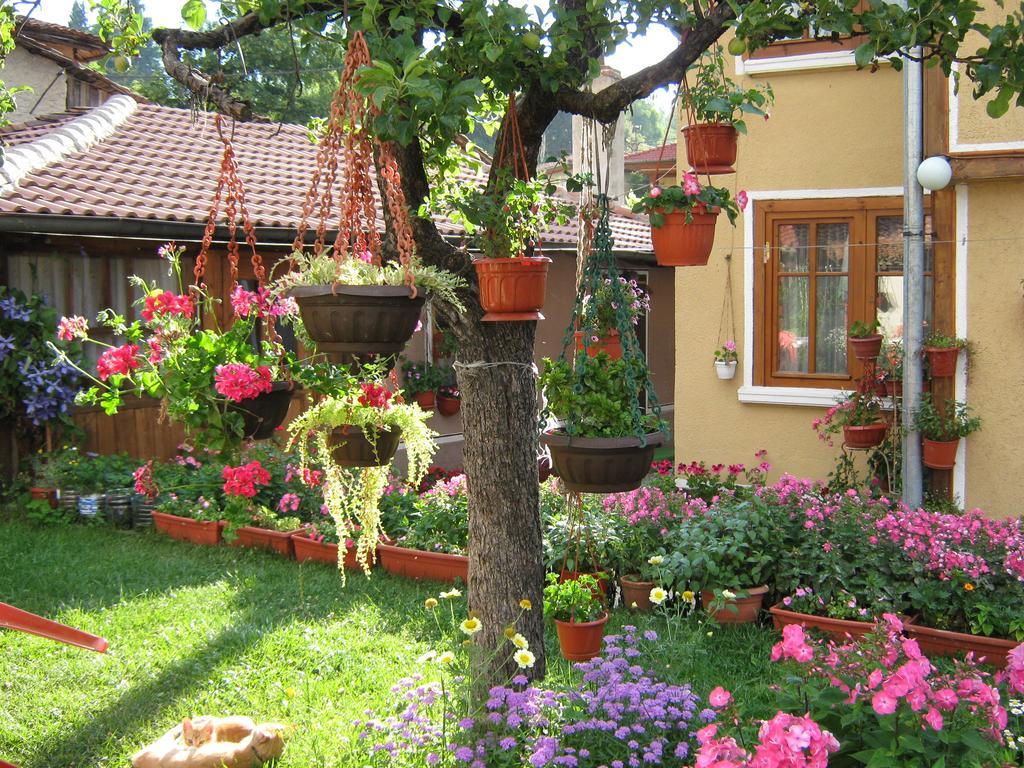 Guest House Bashtina Striaha Koprivsjtitsa Eksteriør bilde